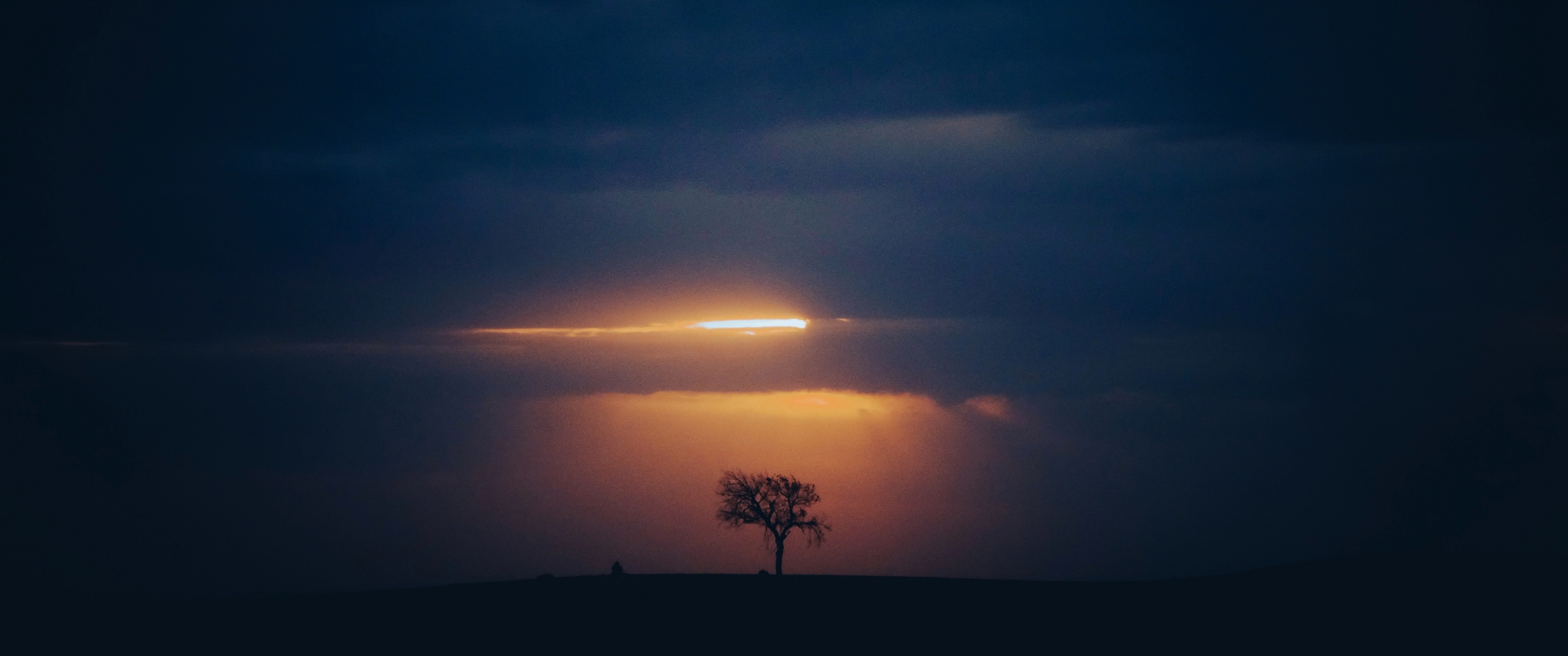 第365号作品:余晖