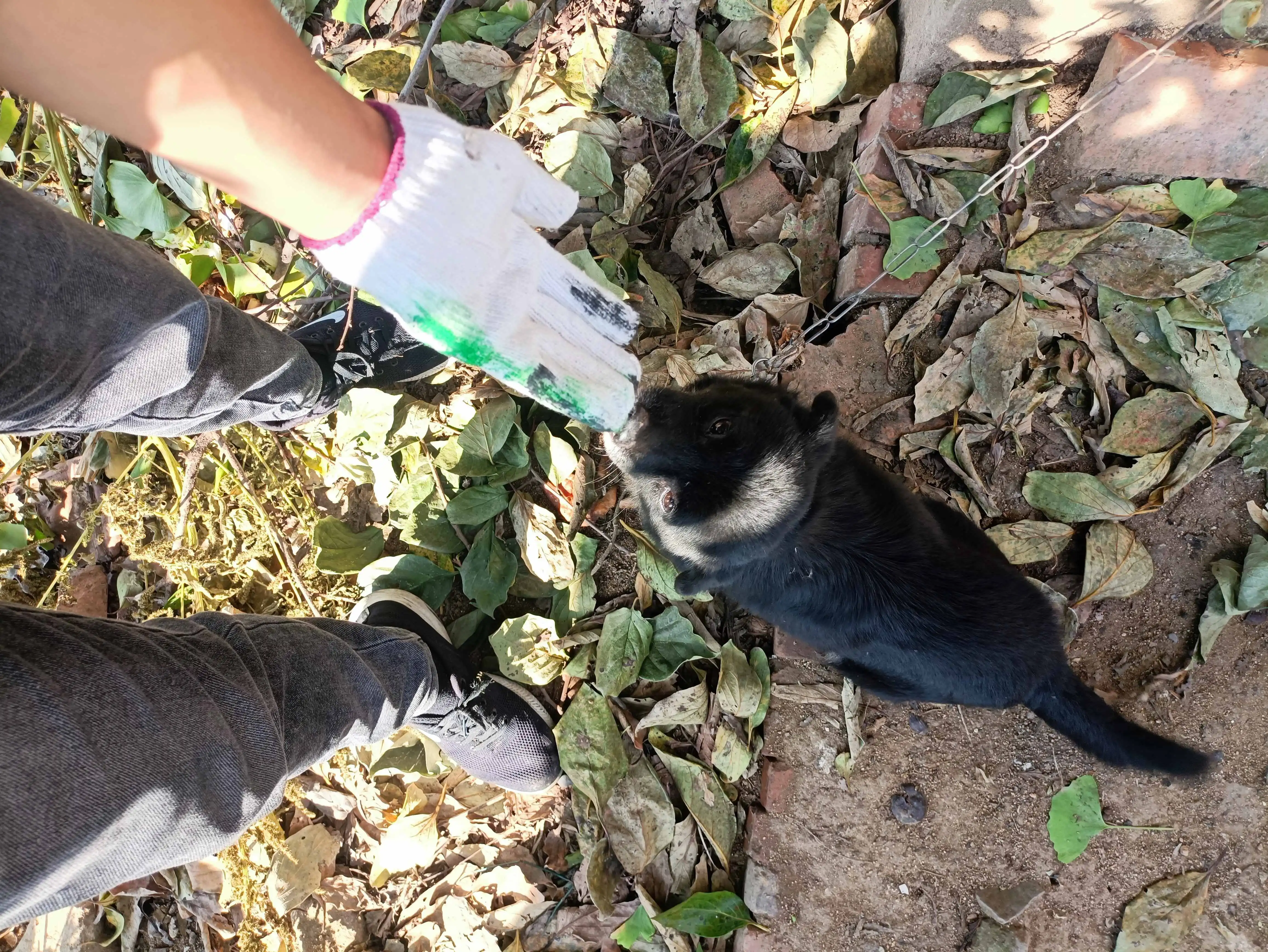 来,狗子,你闻闻是不是扑鼻而来的艺术气息