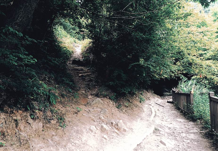 下山时补拍的野路