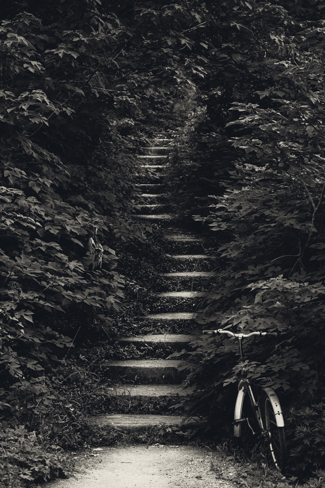 《登山小径》
